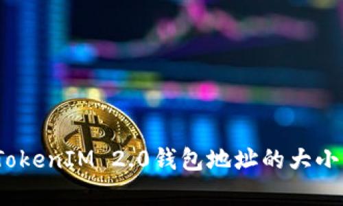 全面解析：TokenIM 2.0钱包地址的大小写字母规则